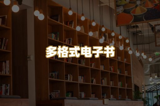 多格式电子书
